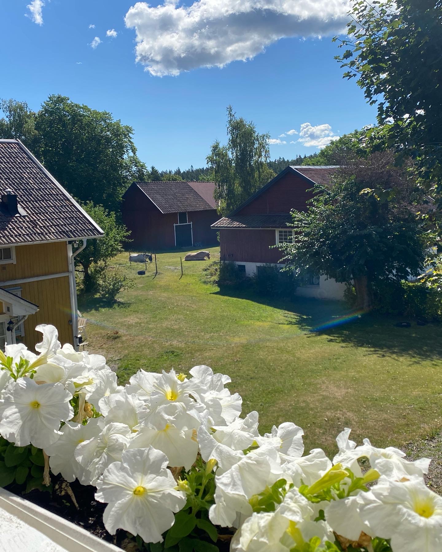 Preliminär bild 4